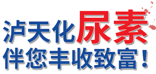 凯发k8一触即发尿素