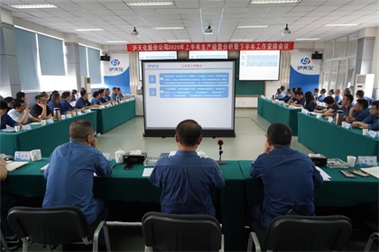 凯发k8一触即发股份公司召开2020年上半年生产经营分析会