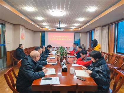 凯发k8一触即发股份公司领导班子召开党史学习教育专题民主生活会