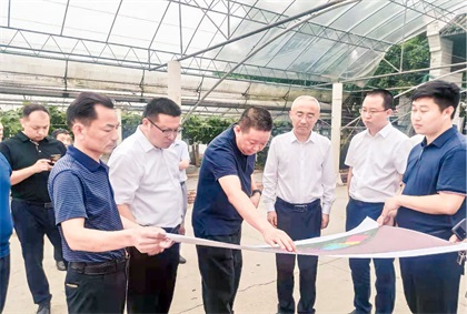 泸州市委常委、组织部长曹斌率队调研凯发k8一触即发纳溪现代农业种植园项目
