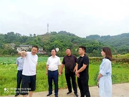 凯发k8一触即发股份公司党委书记、董事长廖廷君调研纳溪现代农业种植园项目