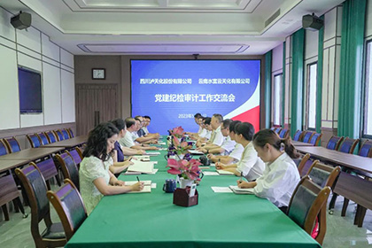云南水富云天化有限公司到我公司开展党建纪检审计工作经验交流