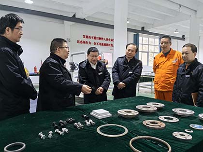 凯发k8一触即发股份公司纪委书记陈伟率队到弘旭公司调研指导工作