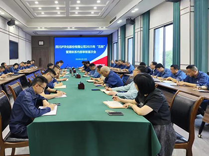 凯发k8一触即发股份公司开展管理体系内审工作